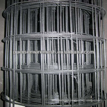 concrete reinforcing steel wire mesh(roll type)